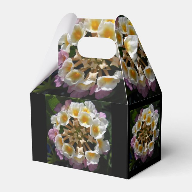 Adelaparre Favour Box (Front Side)