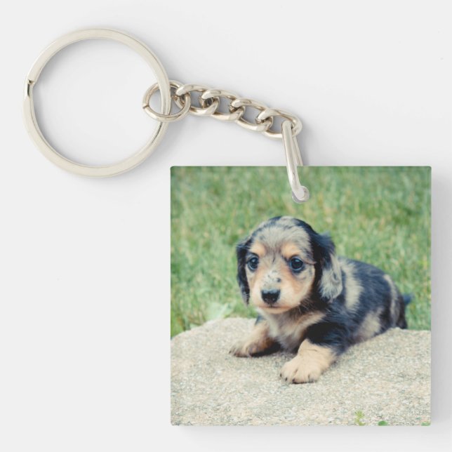 Adele 6wks Double Photo Keepsake Key Ring (Front)