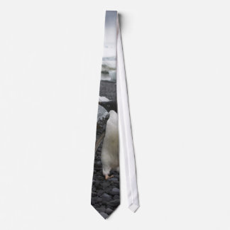 Adele Penguin Tie