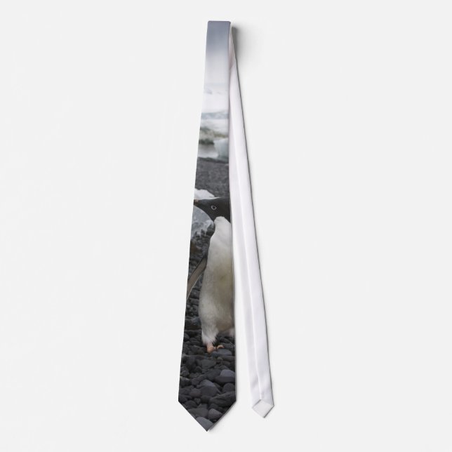 Adele Penguin Tie (Front)