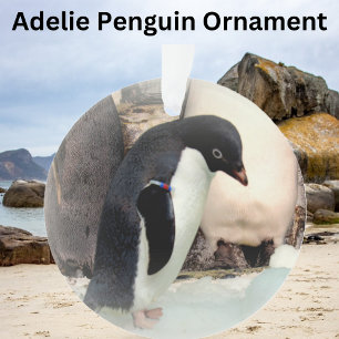 Adelie Penguin - Acrylic Ornament