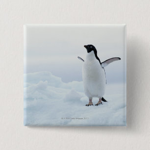 Adelie penguin, Antarctica 15 Cm Square Badge