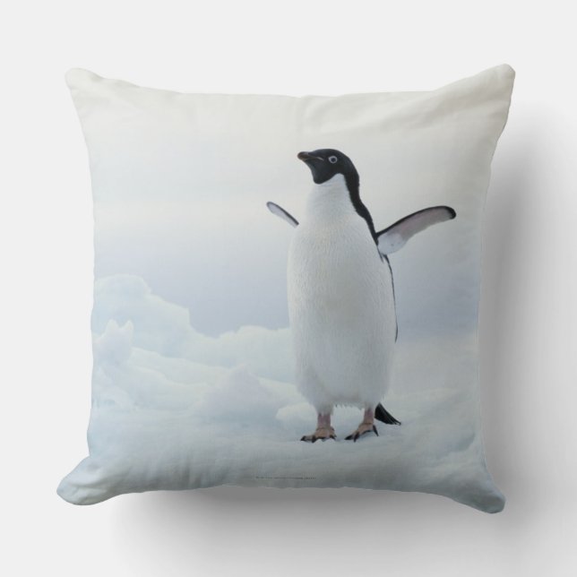 Adelie penguin, Antarctica Cushion (Front)