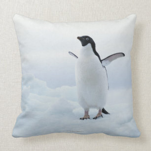 Adelie penguin, Antarctica Cushion