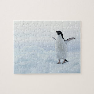 Adelie penguin, Antarctica Jigsaw Puzzle