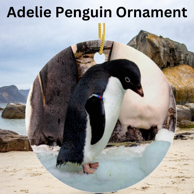 Adelie Penguin Ceramic Ornament (Creator Uploaded)