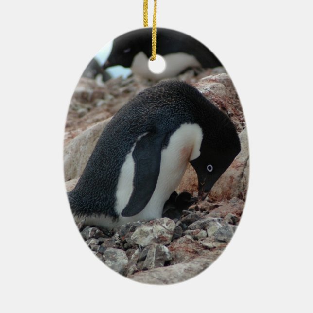 Adelie Penguin Christmas Ornament (Back)