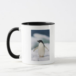 Adelie penguin, close-up mug