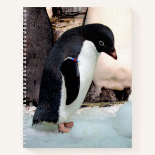 Adélie Penguin Notebook