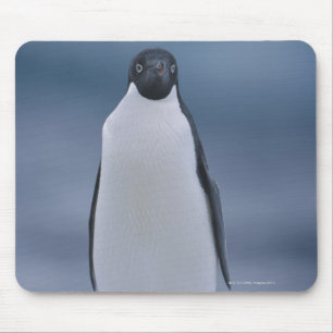 Adelie Penguin on Ice Mouse Pad