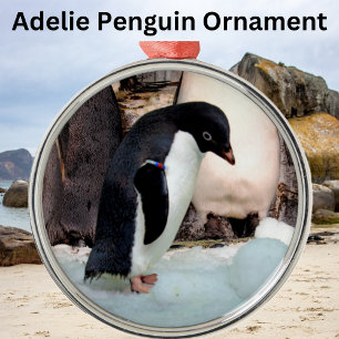 Adelie Penguin Preimium Ornament