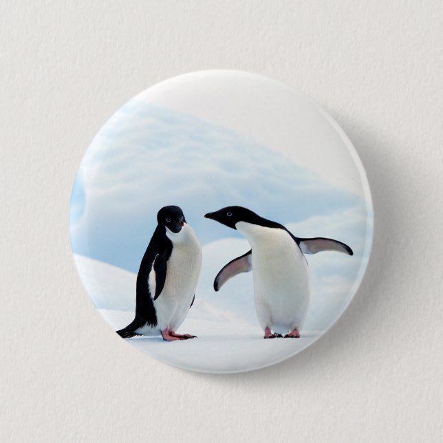 Adelie Penguins 6 Cm Round Badge (Front)