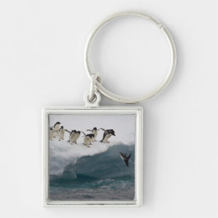 Adelie Penguins diving into sea Paulette Key Ring
