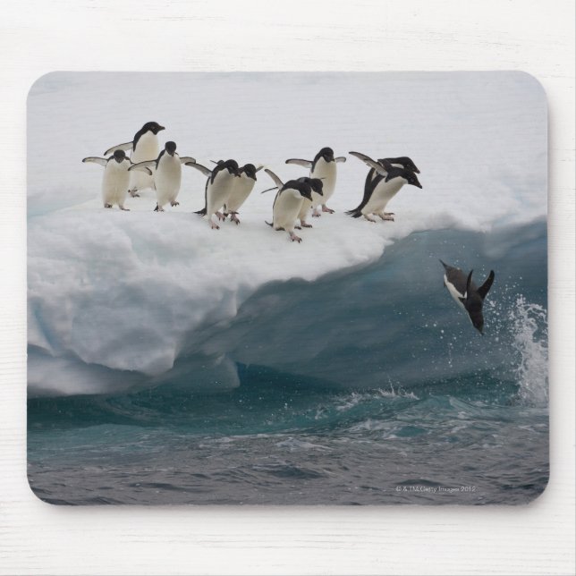 Adelie Penguins diving into sea Paulette Mouse Pad (Front)