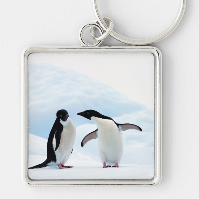 Adelie Penguins Key Ring (Front)