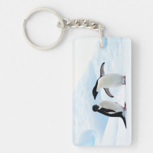 Adelie Penguins Key Ring