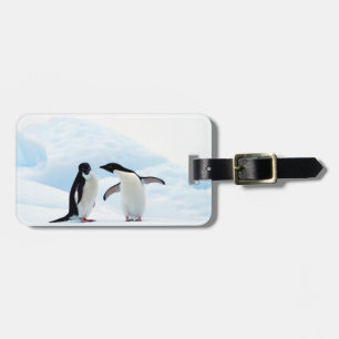 Adelie Penguins Luggage Tag