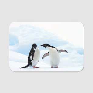 Adelie Penguins Name Tag