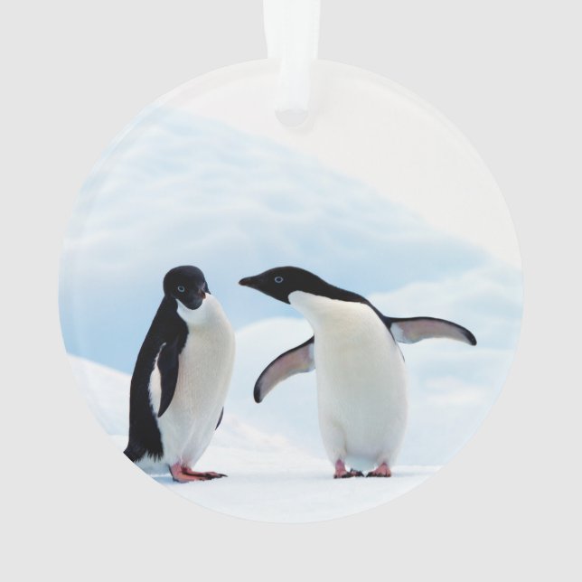 Adelie Penguins Ornament (Back)