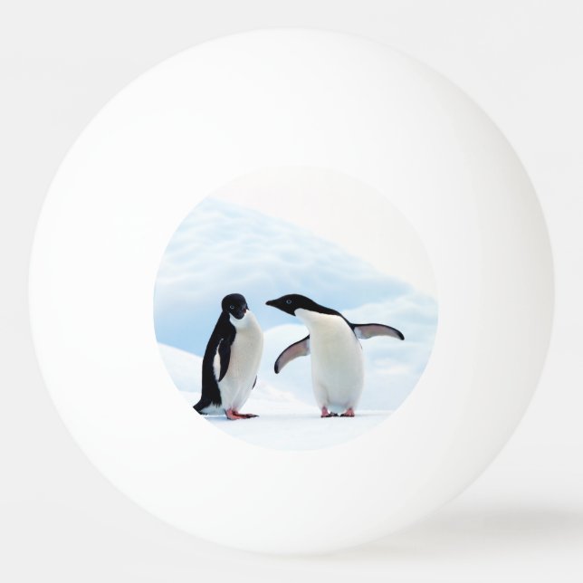 Adelie Penguins Ping Pong Ball (Back)