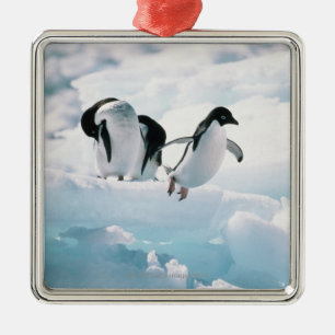 Adelie penguins (pygoscelis adeliae) Antarctica Metal Tree Decoration