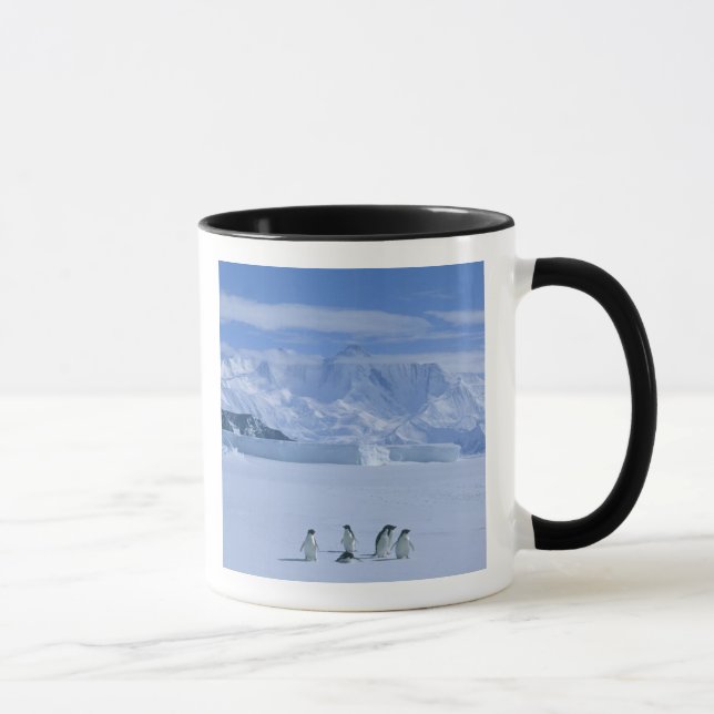 Adelie Penguins, Pygoscelis adeliae), Mug (Right)