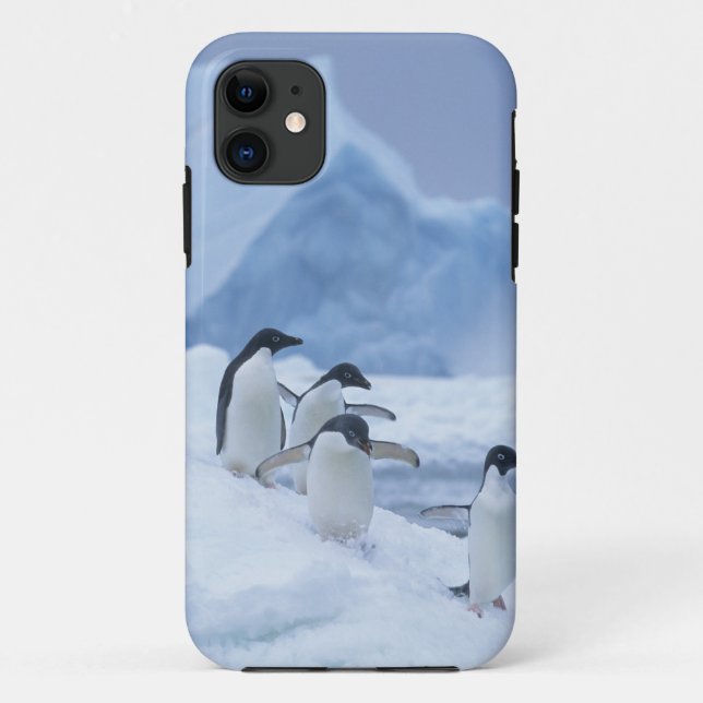 Adelie Penguins (Pygoscelis adeliae) on ice, Case-Mate iPhone Case (Back)