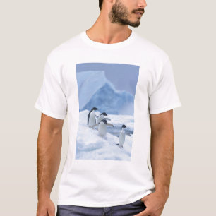 Adelie Penguins (Pygoscelis adeliae) on ice, T-Shirt