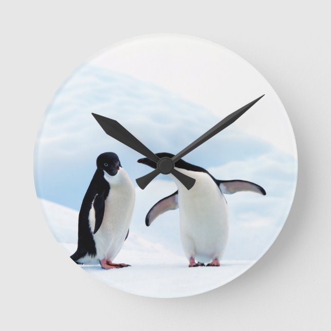 Adelie Penguins Round Clock (Front)