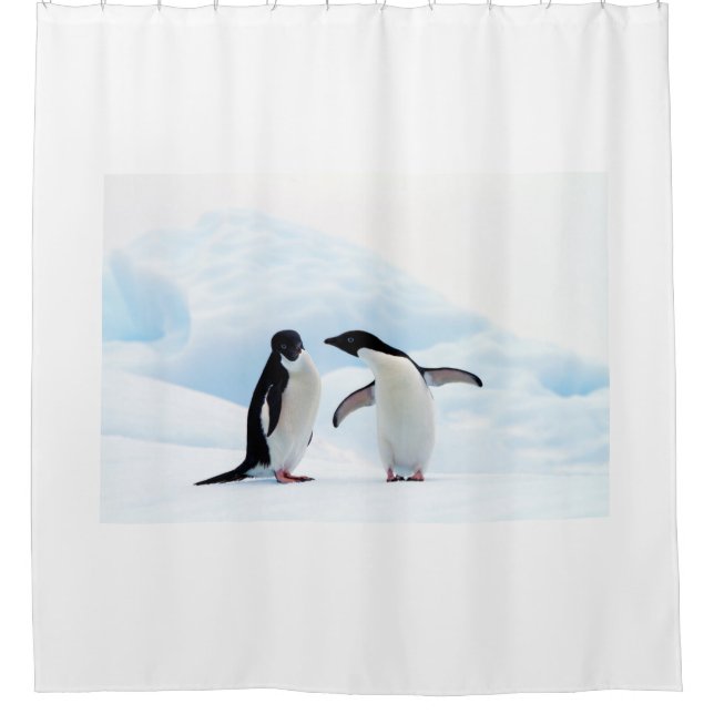 Adelie Penguins Shower Curtain (Front)