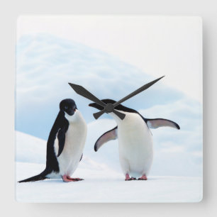 Adelie Penguins Square Wall Clock