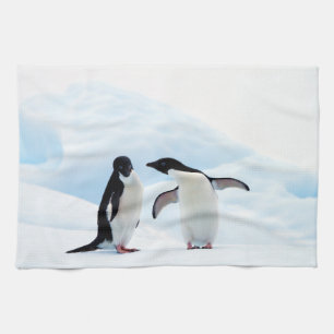 Adelie Penguins Tea Towel