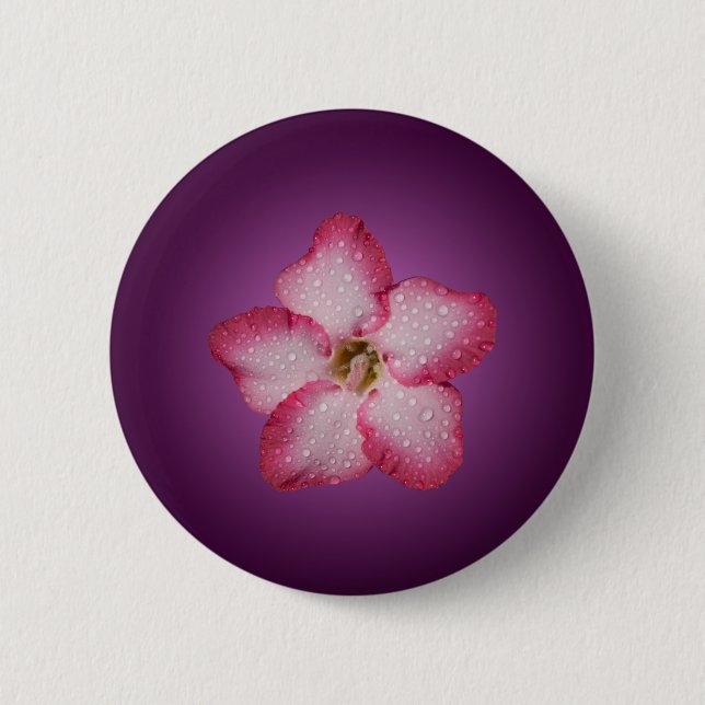 Adenium Pink Flower Flora Gradient Violet 6 Cm Round Badge (Front)