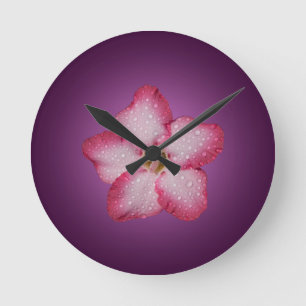 Adenium Pink Flower Flora Gradient Violet Round Clock
