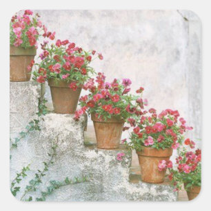 Adhesive flowers in the stairs square sticker