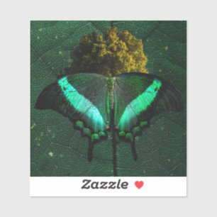 Adhesive with butterfly image in the middle of nat