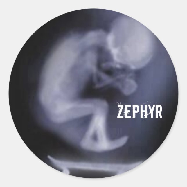 adhesive Zephyr Skate Classic Round Sticker (Front)