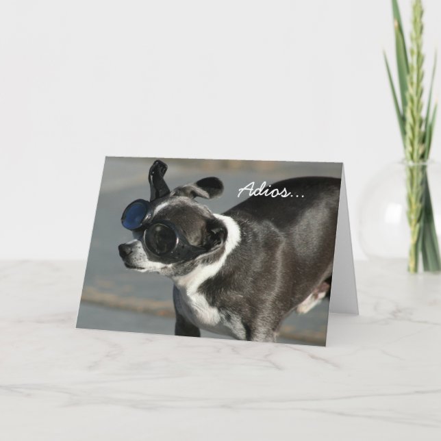 Adios Good Bye chihuahua greeting card (Front)