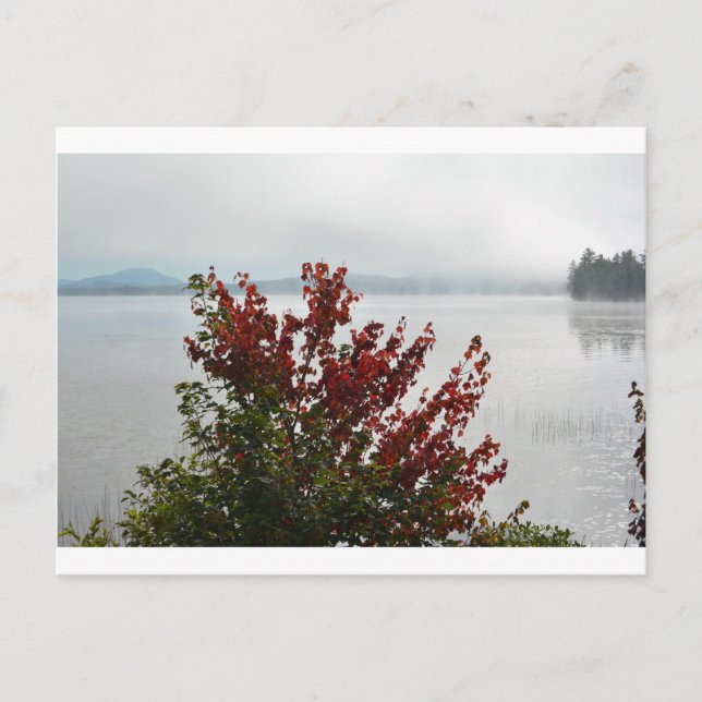 Adirondack Morning Mist Postcard (Front)