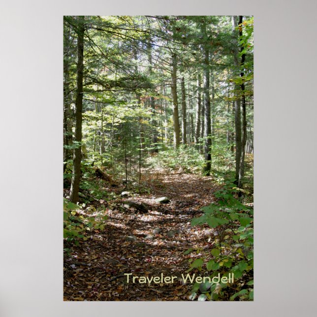 Adirondack Path Poster (Front)