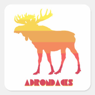 Adirondacks Moose Square Sticker