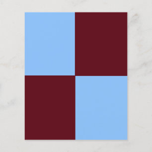 ADJUSTABLE Blue & Brown Flyer