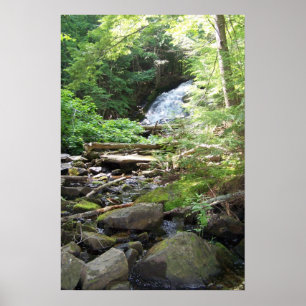 Adler Falls Poster