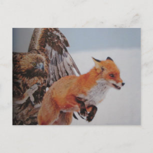 Adler-Fuchs-Kampf- Postkarte Postcard