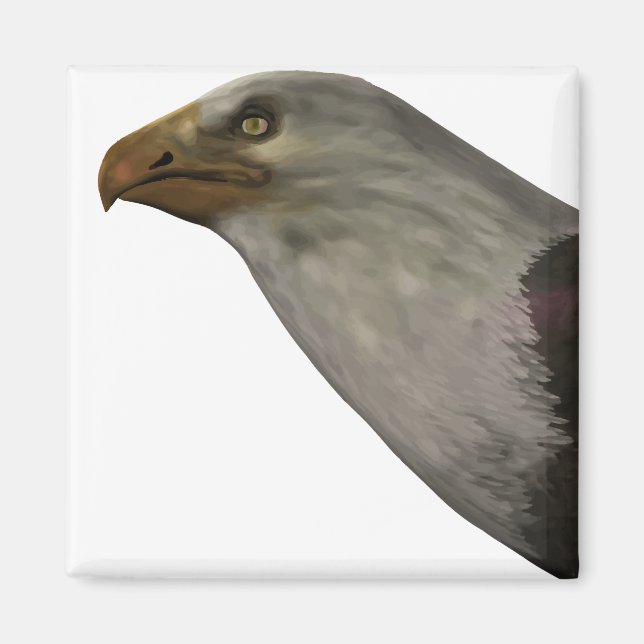Adler Magnet (Front)