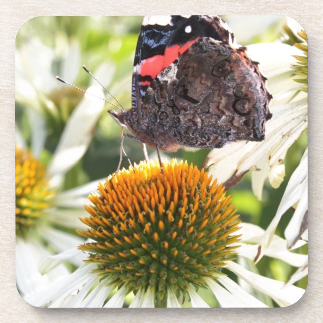 Admiral Butterfly on Flower Coaster (Front)