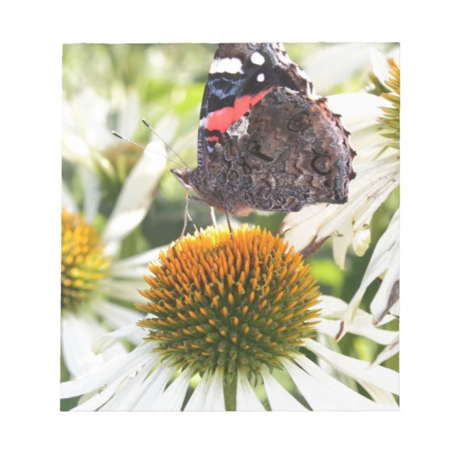 Admiral Butterfly on Flower Notepad (Front)