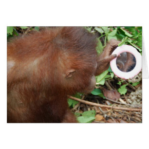 Admiration Hello Gorgeous Self