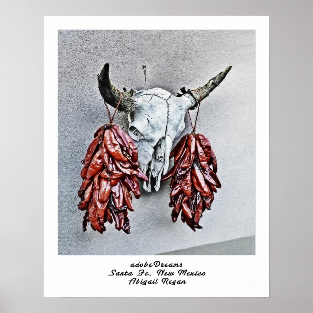 adobeDreams by Abigail Regan poster (Front)