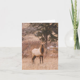 Adolescence - 4" x 5.6" Notecard